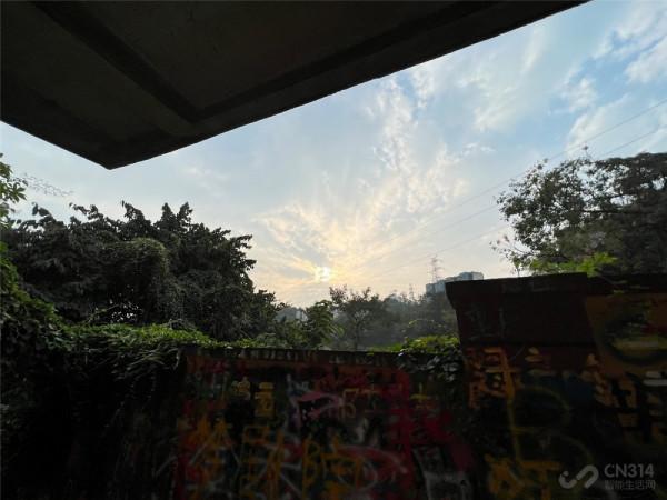 喜歡拍照雙11要買iPhone 13 Pro嗎？對比五款安卓旗艦我悟了