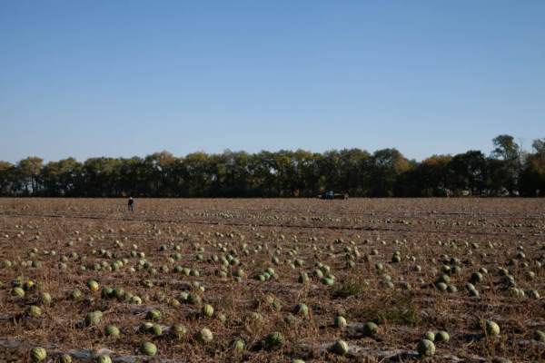 帝國邊陲的僻靜處，只有戌邊的戰士