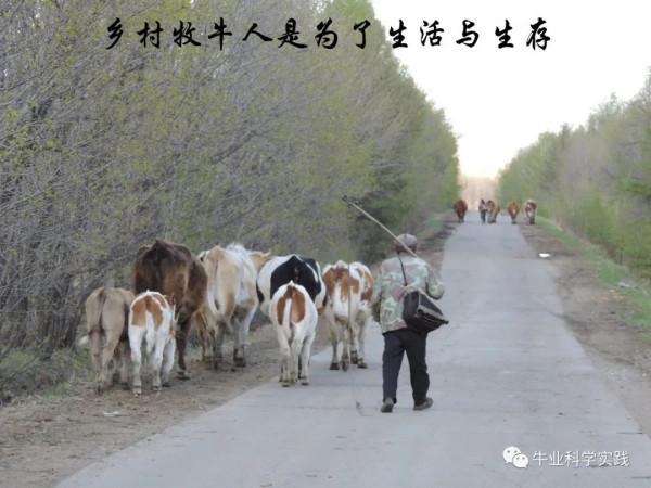 寫給中國肉牛產業投資後來人的一封信