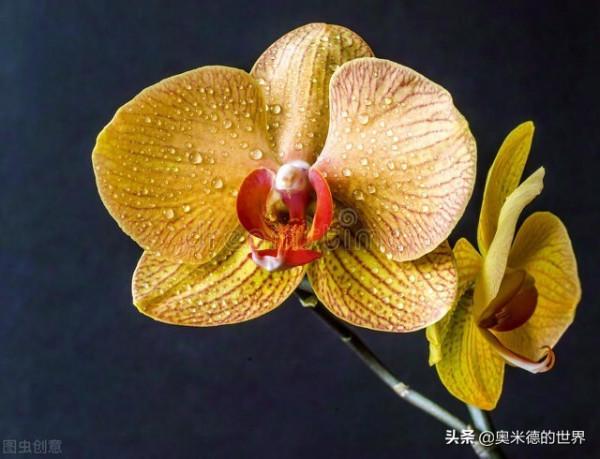 《百年孤獨》的故鄉&OpenCurlyDoubleQuote;哥倫比亞&rdquo;的20個冷知識，你知道幾個？