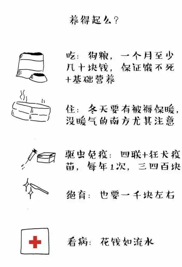 “這狗我不想要了,安樂死了吧!”愛狗可以!養狗,請三思 “這狗我不想要了,安樂死了吧!”愛狗可以!養狗,請三思