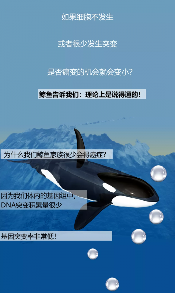 人只要活著就會得癌症嗎? 人只要活著就會得癌症嗎?