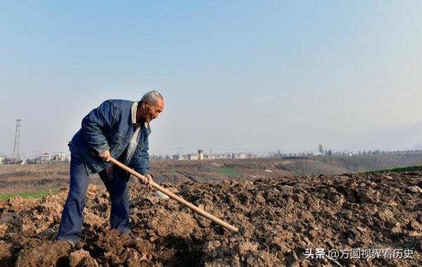 牙雕白菜,菜地裡挖出的國寶 牙雕白菜,菜地裡挖出的國寶