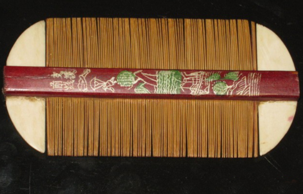 30年前，蟣子在男女老少人頭上很常見，為啥忽然間消失不見了？