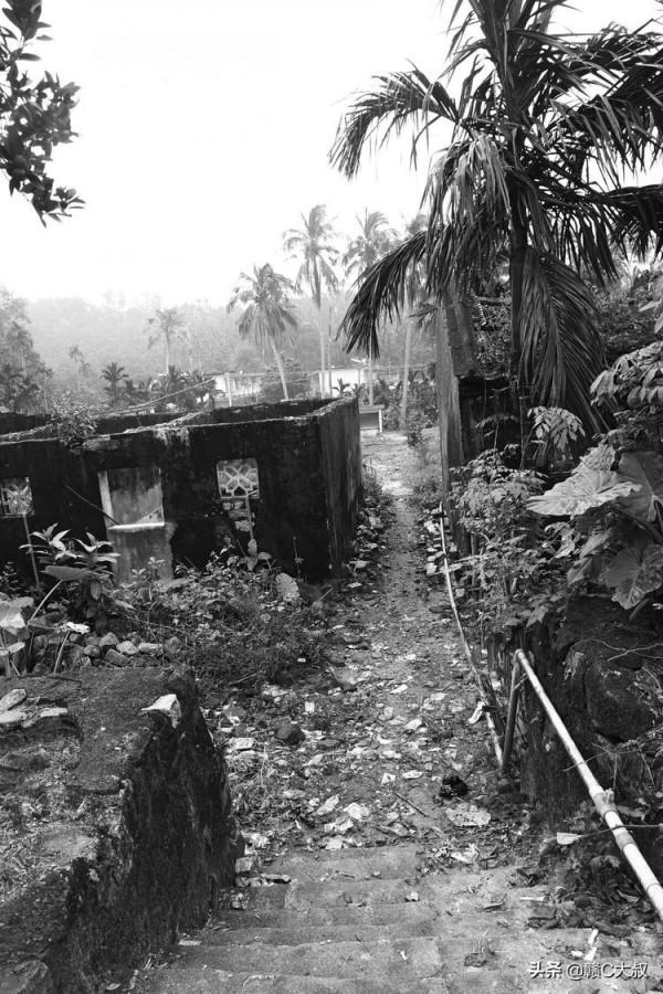 40年的記憶——海南國營乘坡農場行