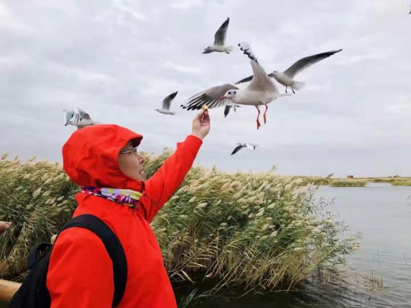 我們為什麼要去旅行? 我們為什麼要去旅行?