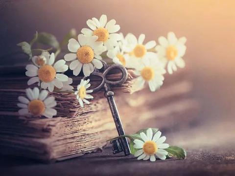 散文:人生,在孤獨中修煉自己 散文:人生,在孤獨中修煉自己