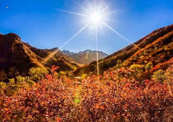 避開擁擠的人潮，7個值得去的北京賞紅葉之地