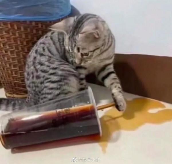 千萬別隨便讓爸媽裝修新房！！哈哈哈給我整不會了....”