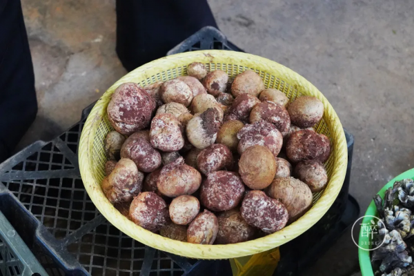 1小時飛攏的城市,有全國最好逛的市場 1小時飛攏的城市,有全國最好逛的市場