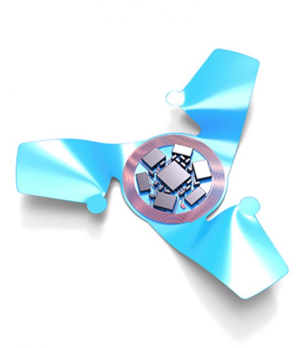 神奇的、帶翅膀的微晶片是人類建造的最小的飛行物體 神奇的、帶翅膀的微晶片是人類建造的最小的飛行物體