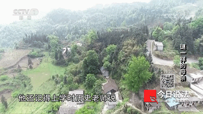 35年了,我的媽媽,枕頭下總是放著一把刀 35年了,我的媽媽,枕頭下總是放著一把刀