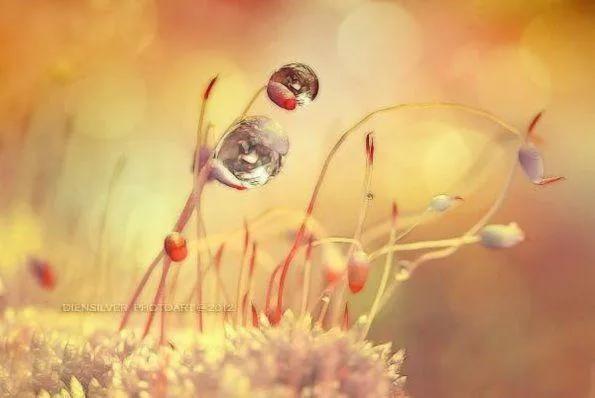 死後五十年，沒人會記得我們