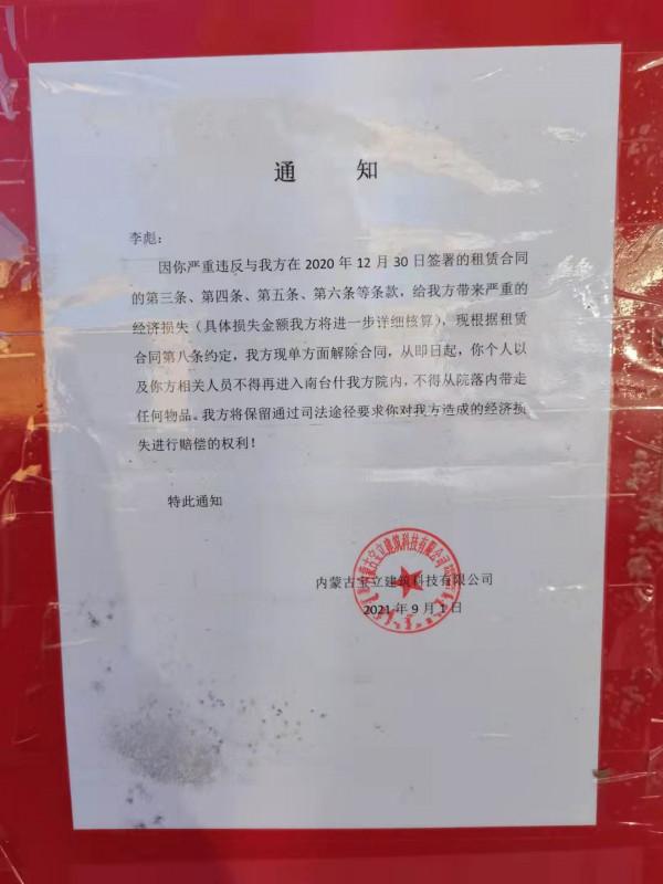 李先生種下20畝北京菊,喜獲豐收卻爛在了地裡…… 李先生種下20畝北京菊,喜獲豐收卻爛在了地裡……