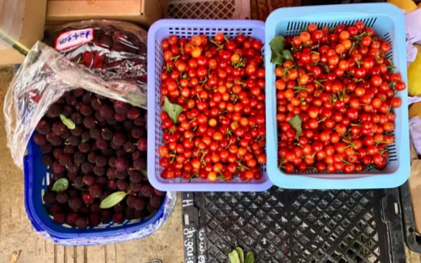 南方人逛雲南農村菜市場，朋友圈曬照卻火了，網友：一種都不認識