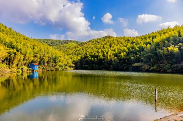 莫干山最美的英倫風民宿，佔地40畝，去藏在竹林裡的城堡度假