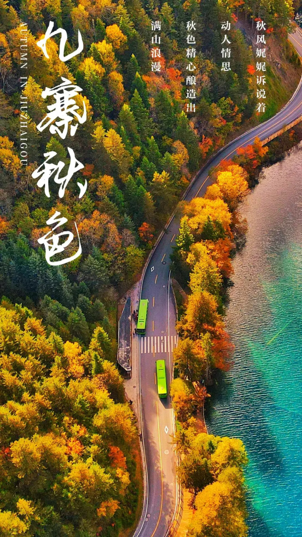 紅葉最佳觀賞期！這些地方全都美成了仙境，趕緊出發