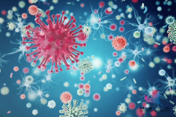 注意!多地已被這些外來生物";佔領";!靠吃能解決?太天真了 注意!多地已被這些外來生物";佔領";!靠吃能解決?太天真了