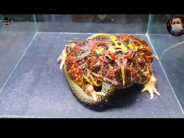 活著 如此不容易