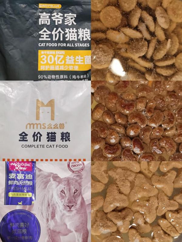 選貓糧容易犯了幾個誤區，別再給貓吃劣質糧了