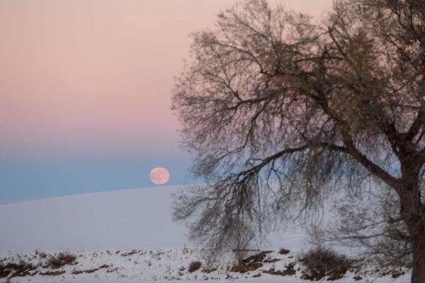 江布拉克 冬景如畫