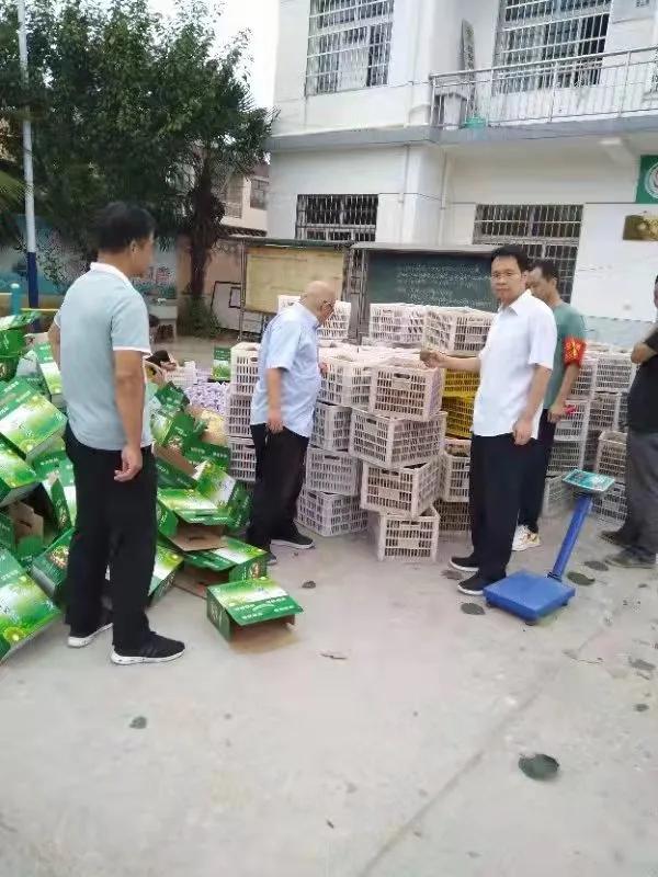 集賢鎮消費幫扶——優果走出去，溫暖送入心