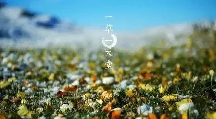 智不足多疑,度不足多怨,威不足多怒 智不足多疑,度不足多怨,威不足多怒