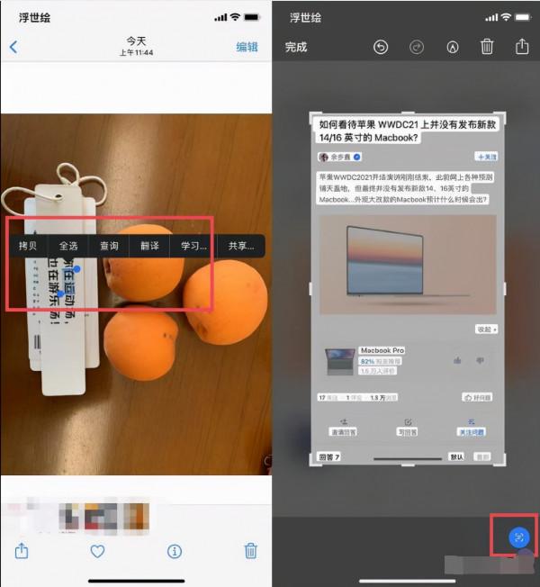 蘋果 iOS15正式版 9月21日推送，更新後有哪些新玩法？有必要更嗎？