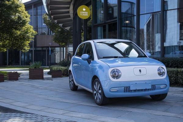 尤拉黑貓，可愛新潮範兒，小姐姐芳心的收割機