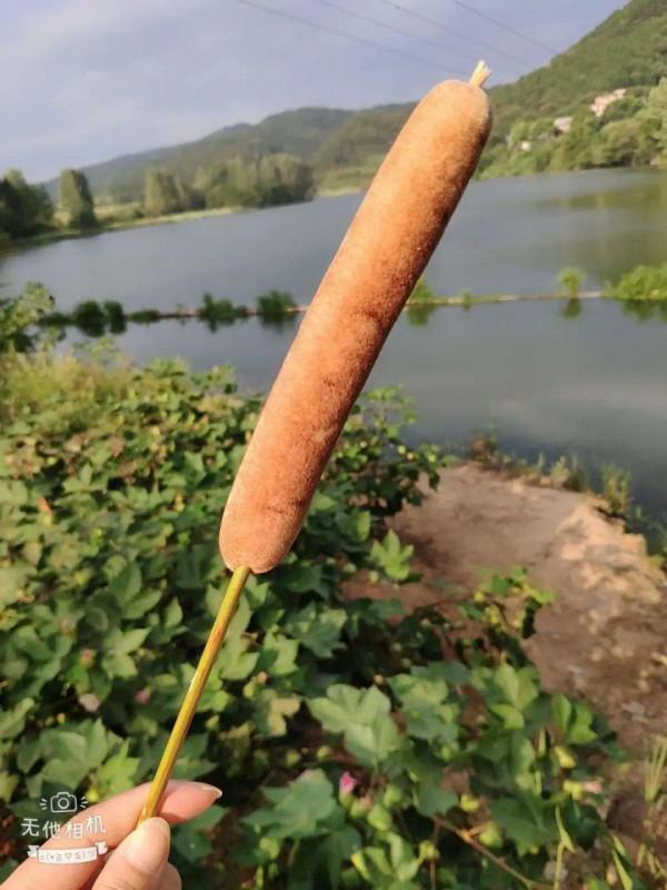 路邊的蒲公英，比拳頭還大，太可愛了