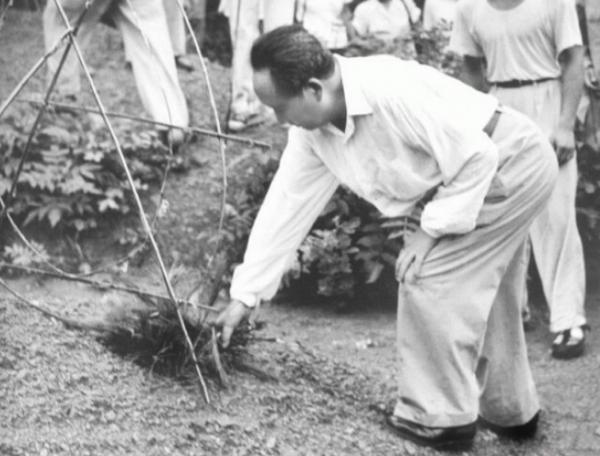59年毛主席回韶山，見父母墳墓年久失修長了雜草，毛主席小心清理