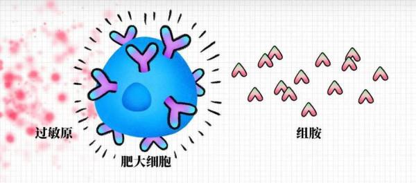 男子劇烈咳嗽一直治不好，醫生卻問，你是不是吃了高血壓藥？