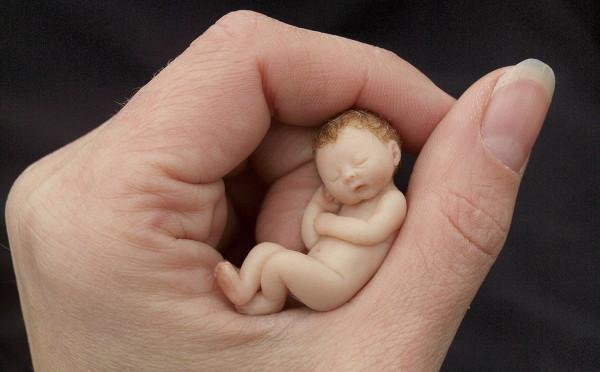 2019年，幫女兒還清幾十萬貸款後母親拿出領養證：你不是我親生的