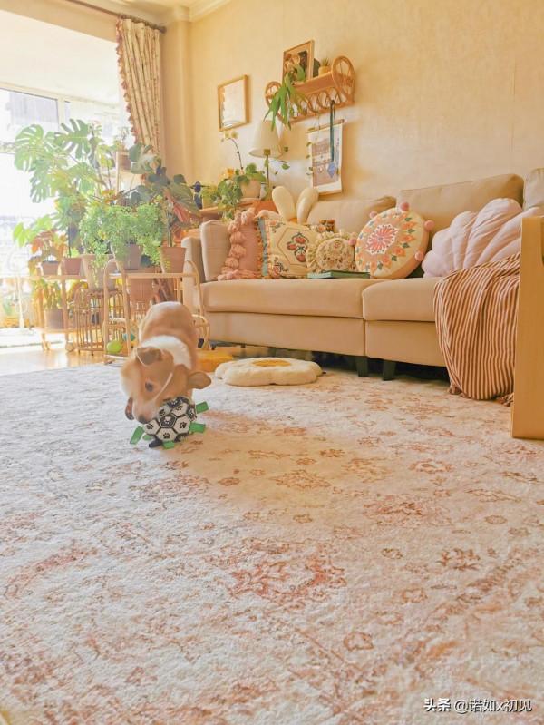 秋天是我最喜歡的季節