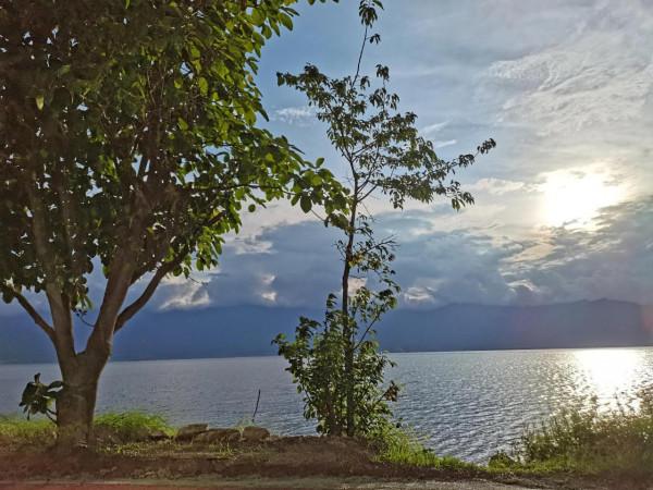 鼓起勇氣看看我的神操作