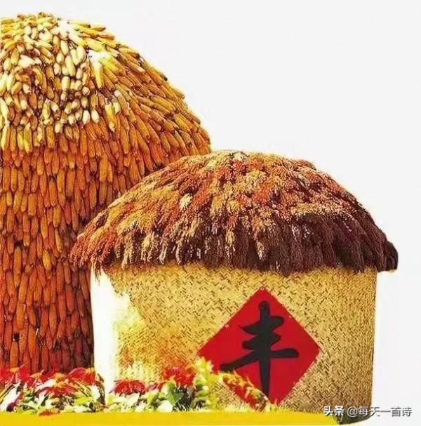 民間力量，中國實力詩人，四川詩人：王四姐