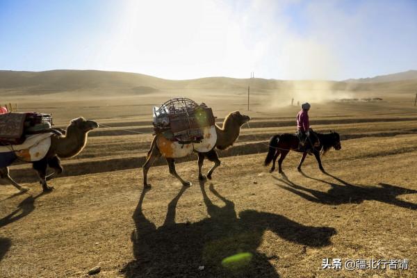 新疆哈薩克族的氈房