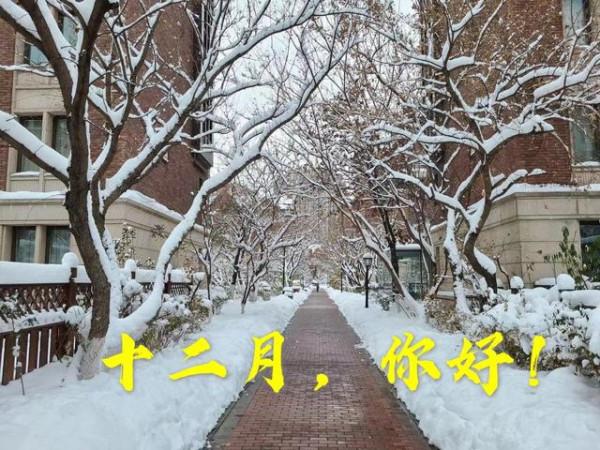 12月，致自己：加油！熬過去，就是光輝歲月