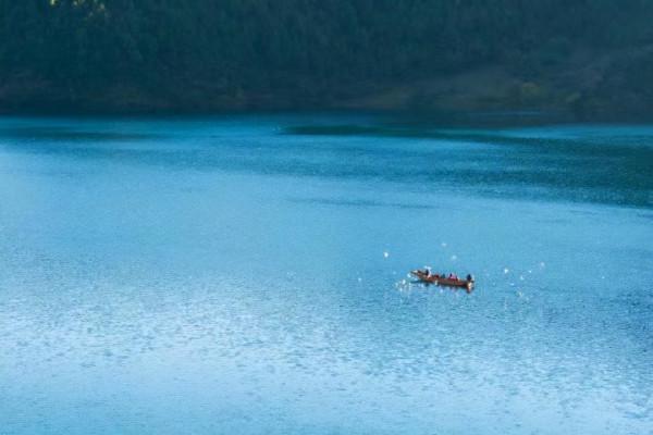 你的感受如何被扭曲