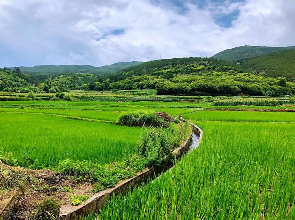 「女媧故事」之14、15“石頭幹老”與“鏵場” 「女媧故事」之14、15“石頭幹老”與“鏵場”