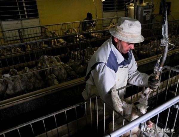 初吻遺失率最高的布達佩斯,一起看看真實的匈牙利 初吻遺失率最高的布達佩斯,一起看看真實的匈牙利