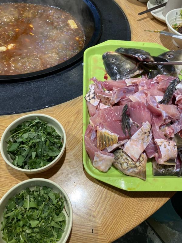 「秋釣」升鍾湖垂釣，改變線組，漁獲滿倉