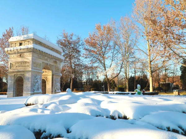 元旦去哪玩？賞花燈、看錶演、戲冰雪……