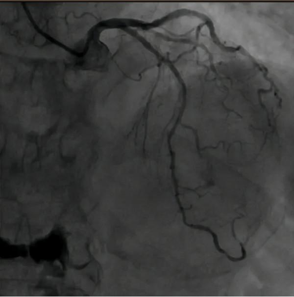 精準評估,多學科診療護佑老年患者健康 精準評估,多學科診療護佑老年患者健康
