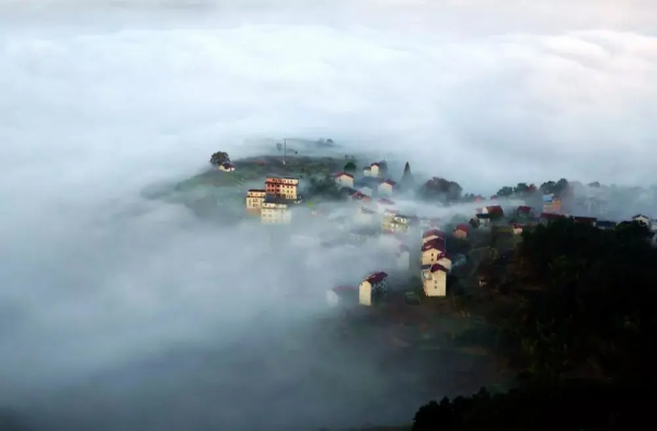 山城調色盤get，你pick哪個色？