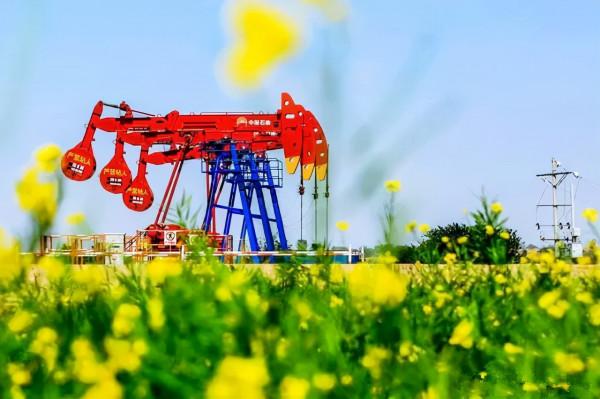 「 陝西 」李小英|記憶中的那抹石油紅 「 陝西 」李小英|記憶中的那抹石油紅