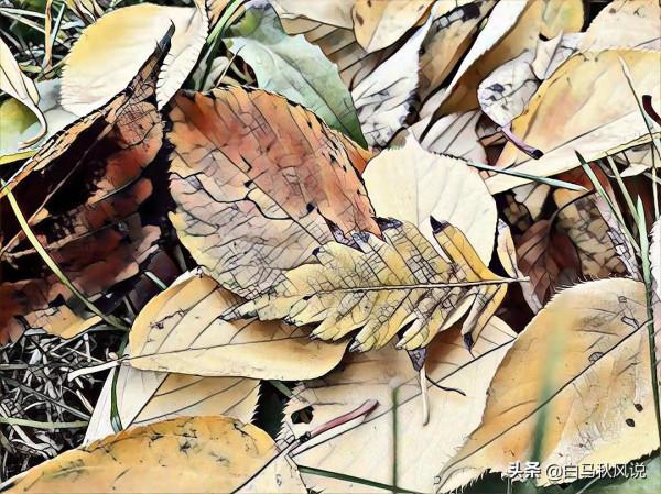 你走，我不送你