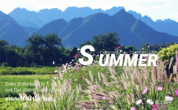 昌平夏末美景專屬地！藍天白雲，水鳥倒映，花田拍照......美不勝收！