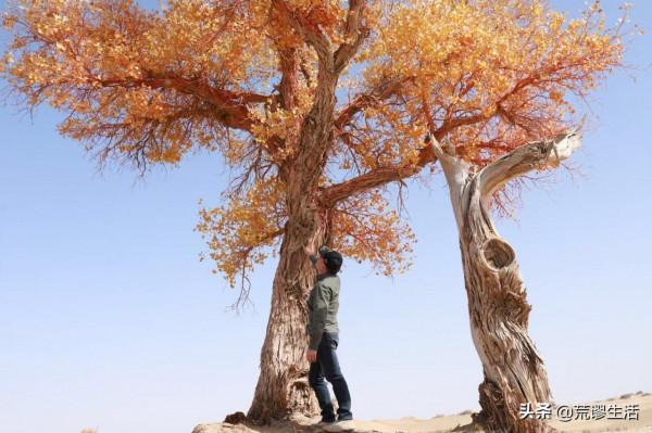 新疆神秘村莊,日本人《最後的沙漠守望者國際獲獎,沒在國內公映 新疆神秘村莊,日本人《最後的沙漠守望者國際獲獎,沒在國內公映