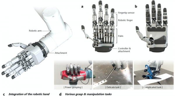 輕鬆抓雞蛋、剪紙、夾晶片，這隻“機械爪”堪比人手